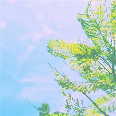 逃离小丑模拟器樱校游戏下载
