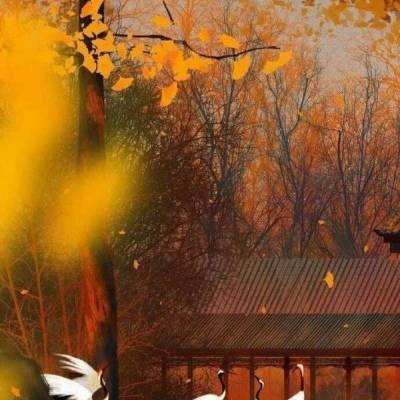 魔域桃源游戏(暂未上线)v1.0 官方安卓版